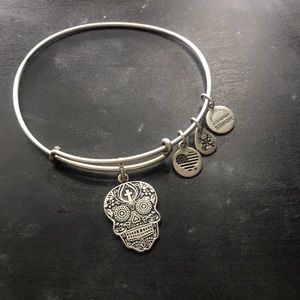 Alex and Ani Skull Bracelet